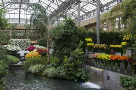 Lilytopia Rides Again Image